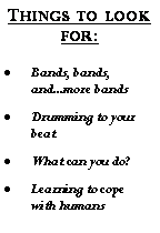 Text Box: Things to look for:Bands, bands, and...more bandsDrumming to your beatWhat can you do?Learning to cope with humans 