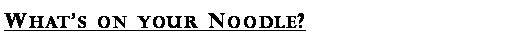 Text Box: Whats on your Noodle? 