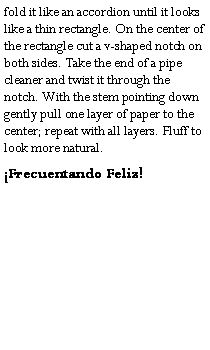 Text Box: fold it like an accordion until it looks like a thin rectangle. On the center of the rectangle cut a v-shaped notch on both sides. Take the end of a pipe cleaner and twist it through the notch. With the stem pointing down gently pull one layer of paper to the center; repeat with all layers. Fluff to look more natural.Frecuentando Feliz! 